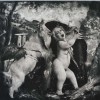 JPWITKIN_Daphne_and_Apollo