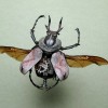 InsectLab_01